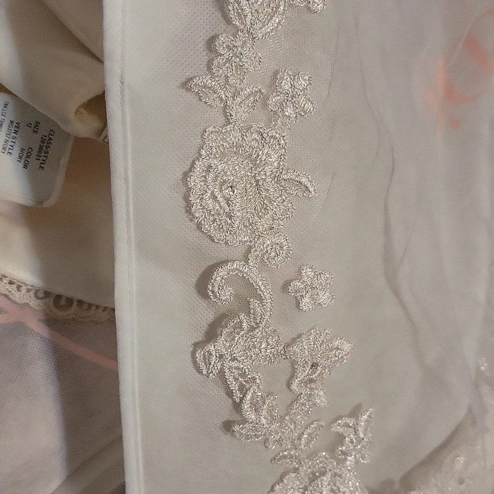 Veil - Picture 3 of 3